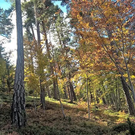 Alt Pirineu Soriguera