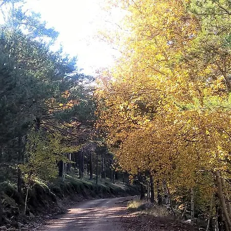 Гостевой дом Alt Pirineu Soriguera