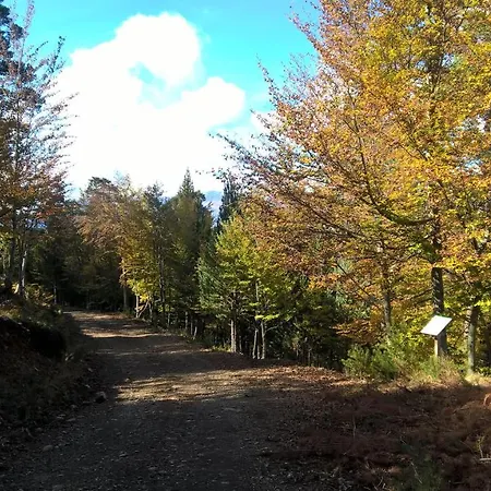 Гостевой дом Alt Pirineu 2*