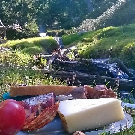 Alt Pirineu 2*