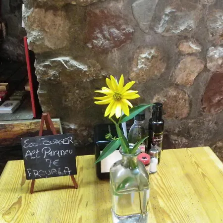Alt Pirineu Soriguera